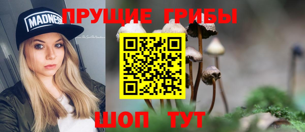 Псилоцибиновые грибы ЛСД Щёлково